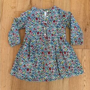 Gap 3T floral lined spring long sleeve dress EUC